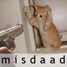 Icoon Misdaad