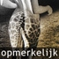 Opmerkelijk