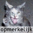 Opmerkelijk