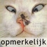 Opmerkelijk