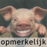 Icoon Opmerkelijk