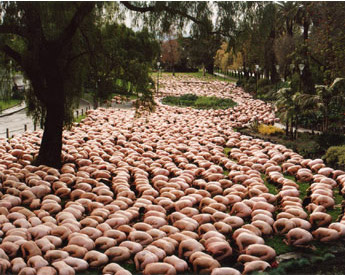 Spencer Tunink - Installation in Melbourne