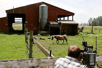 Een stal van de boerderij in Enumclaw