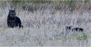 Foto: natuurfotograaf Otto Faulhaber