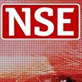 Logo NSE.