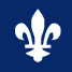 Icoon Vlag Quebec