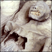De mummie van Nefertiti