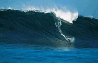 Surfer bedwingt grootste golf ooit